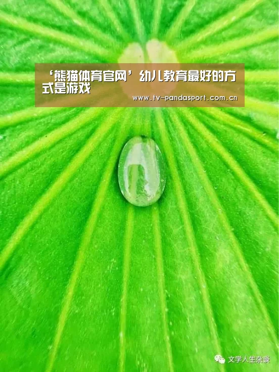 ‘熊猫体育官网’幼儿教育最好的方式是游戏(图2) 体育API