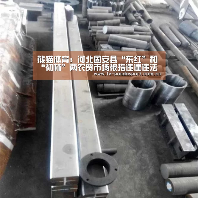 熊猫体育:河北固安县“东红”和“初林”两农贸市场被指违建违法经营(图1) 熊猫体育官网