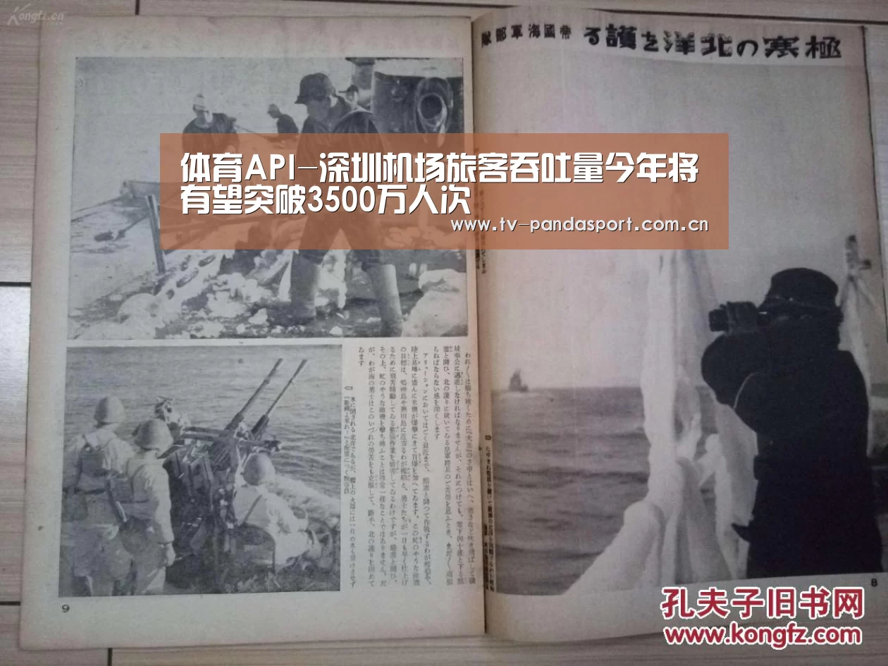 体育API-深圳机场旅客吞吐量今年将有望突破3500万人次(图1) 熊猫体育app