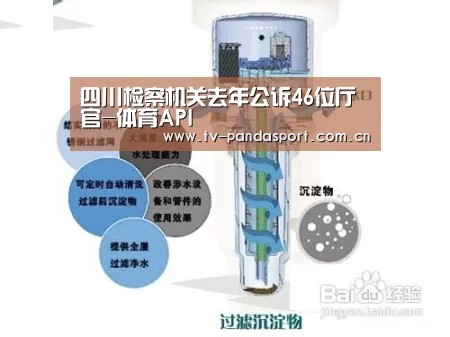 四川检察机关去年公诉46位厅官-体育API(图1) 体育API