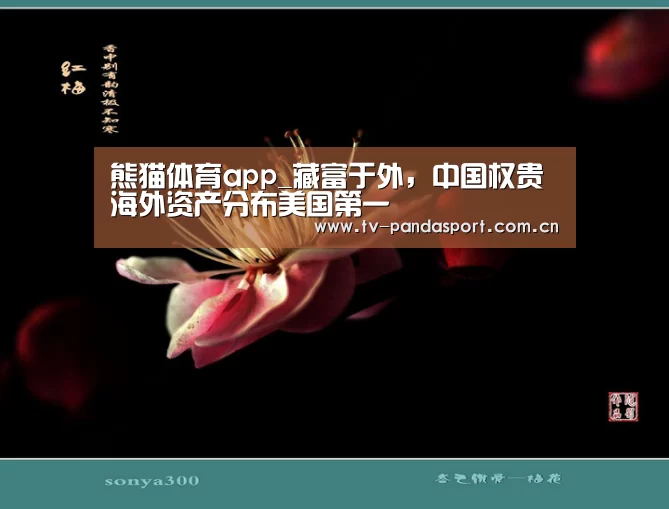 熊猫体育app_藏富于外,中国权贵海外资产分布美国第一(图1) 熊猫体育官网