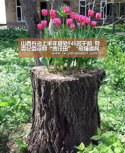山西长治上半年查处945名干部 党委纪委深耕“责任田”‘熊猫体育官网’(图2) 熊猫体育